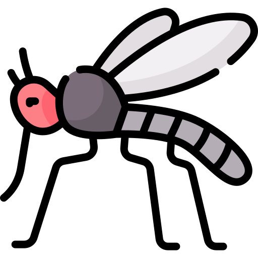 Mosquito